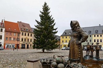 Der Baum steht, der Weihnachtsmarkt ist abgesagt - Seit Donnerstagvormittag steht eine 16 Meter hohe Weißtanne als Weihnachtsbaum auf dem Markt von Glauchau. 