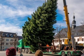 Der Baum steht, doch die Sorgen wachsen - Unter neugierigen Blicken wird die rund 15 Meter hohe Tanne auf dem Marienberger Markt mit einem Kran in Position gebracht.