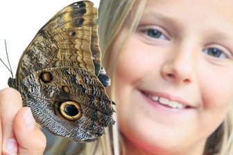 Der besonders tierische Jahresrückblick - Lea Stütz und der Bananenfalter.
