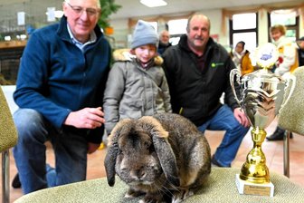Der beste Rammler von Erlau und der schönste Hahn im Striegistal - Rassekaninchen in Erlau: Den besten Rammler stellt dieses Mal Rainer Lohse aus Frankenberg. Es ist ein Deutscher Kleinwidder wildfarben.