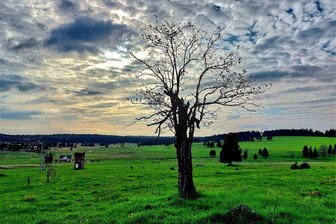 Der Böhmische Teil des Erzgebirges soll ein 1200 Quadratkilometer großes Schutzgebiet werden - Die Hochfläche bei Rolava/Sauersack soll Teil des Landschaftsschutzgebietes im Erzgebirge werden.