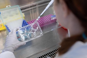 „Der Deal ist ein Ritterschlag“: Biotec-Startup aus Sachsen gelingt milliardenschwere Kooperation mit Eli Lilly - Das Dresdner Start-up Seamless Therapeutics will Erbkrankheiten mit Gentechnik bekämpfen. Nun hat es einen aufsehenerregenden Deal an Land gezogen.