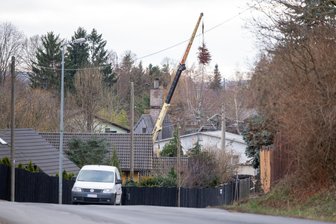 Der ewige Weihnachtsbaum: Wohin ist Plauens skurrilster Adventsgruß entschwebt? - Das ganze Jahr über fristete ein Tannenbaum an der Straßberger Straße sein Dasein.