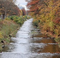 Der Filigrane - Der Spielplatz im Otto-Werner-Garten isteiner von zwei großen im Stadtpark. Der zweite wird gerade saniert.
