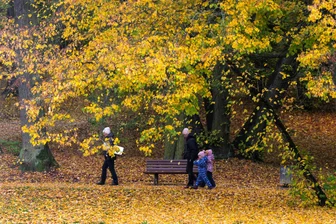 Der Herbst steht auf der Leiter: Plauener Stadtpark zeigt sich bunt - 