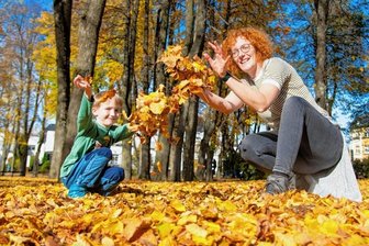 Der Herbst zeigt sich von seiner schönsten Seite: Bunt sind alle Wälder -