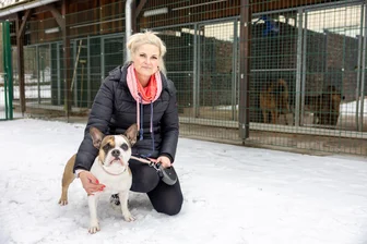 Der Jahreswechsel im Freiberger Tierheim und ein großer Wunsch - Claudia Schubert - hier mit der fünfjährigen französisch englischen Bulldogge Nala - leitet das Freiberger Tierheim. 2026 soll hier ein „Hundespielplatz“ angelegt werden.