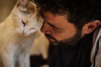 Mohammed Alaa al-Jaleel, auch bekannt als "der Katzenmann von Aleppo", versorgt eine Katze im Ernesto's Cat Sanctuary, das er in Kafr Naya in Syrien betreibt.