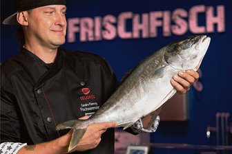 Der King der Kingfische - Als Sandro Dietrich diese Gelbschwanzmakrele präsentierte, hieß er noch Flemming. Am Wochenende hat er geheiratet. Der Fisch ist in Aquakultur im Saarland groß geworden. Ursprünglich stammt die Art aus Australien. Dort ist sie als Kingfish bekannt.