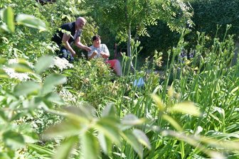 Der Naschgarten am Hammerberg - Idylle pur: Sigrid Lippmann und Steffen Weiser im Naschgarten der Freiberger Kleingartenanlage "Albert Funk".
