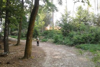 Der Nationalpark Sächsische Schweiz darf ab sofort nachts wieder betreten werden - Wegen der anhaltenden Trockenheit hätte es schnell zu Waldbränden kommen können. Situationen wie 2022 hatten nun mit einer nächtlichen Waldsperrung im Nationalpark vermieden werden sollen.