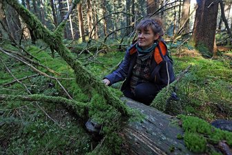 Der verwunschene Wald im Vogtland: Diese Naturschützerin will ein grünes Paradies bekannter machen - Katarina Ungethüm inmitten von Totholz, Moosen und Flechten. Die Biologin weiß um die Bedeutung des einzigartigen Moorwaldes.
