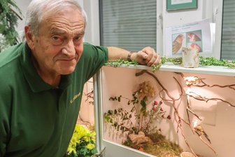Der Vogelzwitscherer von Chemnitz: Eine Geschichte über Körner, Stromrechnungen und angesagte Vögel im wörtlichen Sinn - Eckhardt Frömel ist seit 1971 im Verein der Vogelzüchter und Vogelliebhaber. Für ihn das schönste Hobby.