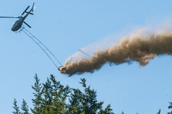 Der Wald wird wieder gekalkt - 
