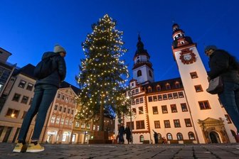 Der Weihnachtsbaum leuchtet klimafreundlich -