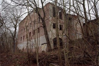 Der Winterschlaf der Vampire in der Ruine - Die "Alte Brauerei" in Frankfurt (Oder) genießt von öffentlicher Seite mehr Aufmerksamkeit als es von außen den Anschein hat. Sie ist ein urbanes Naturschutzgebiet. 