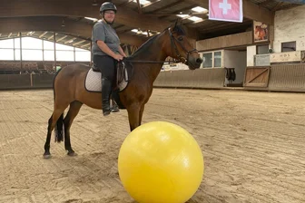 Deutsche Elf bereitet sich auf Achtelfinale vor - Pony Eddi aus Penig orakelt - Deutschland steht bei der Fußball-EM im Achtelfinale. Pony Eddi aus Penig, das Orakel der EM, lag beim Spiel gegen die Schweiz falsch.