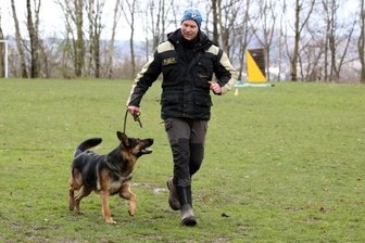 Deutsche Schäferhunde im intensiven Charaktertest - Peter Kaspereit, Vorstandsmitglied des RSV Lugau, führt seinen zweijährigen Rüden Kuno von Siegerblut auf den Platz. Der Hund machte am Wochenende seinem Namen alle Ehre.