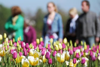Die 7. Landesgartenschau  in Sachsen - Landesgartenschau in Oelsnitz