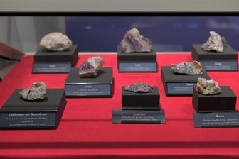 Die Besten treffen sich in Freiberg: Geowissenschaftliche Schul-Olympiade im Krügerhaus - Das Krügerhaus der TU Bergakademie beherbergt eine Sammlung von Mineralen deutscher Fundorte.