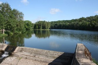 Die Crimmitschauer Angler sitzen fast auf dem Trockenen - Im Vorstau der Kober müssen die Fischbestände erst wieder nach Hege- und Besatzplan aufgebaut werden. 