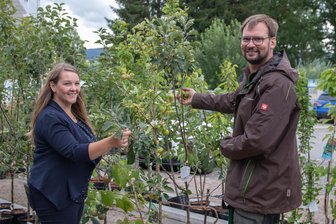 Die Deutsche Eiche hat bald ausgedient: Auf welche Gewächse dieser Gartenbau-Experte im Vogtland in Zukunft setzt - Vanessa und Marius Röger führen den Gartenbaubetrieb. Obstgehölze sind bei den Vogtländern sehr gefragt. Manche heimische Pflanze verträgt aber den Klimawandel nicht mehr.