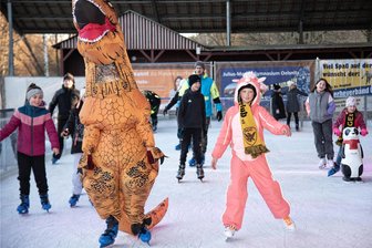 Die Dinos und Einhörner sind los: So fröhlich feiern die Vogtländer in Oelsnitz ihren Eis-Fasching - Louisa (Einhornkostüm rechts) und Nevio Schaller (Dinosaurier links) beim Eisfasching in Oelsnitz.