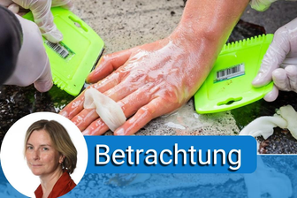 Die entwertete Empörung - Polizisten versuchen, die Hand eines Klimaaktivisten, der sie auf einer Autobahnausfahrt festgeklebt hatte, vom Boden zu lösen. 