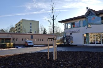 Die Grün-Offensive: Warum Flöha im vorigen Jahr fast 100 neue Bäume bekommen hat - Am Plaue-Center wurden der Asphalt aufgebrochen und auch ein neuer Baum gepflanzt.