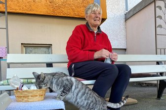 Die Katzen-Oma von Reichenbach - Was Frau Müller machen würde, wenn sie sieben Leben hätte - Tipplegucker. Herr Lohe schaut schon mal, was heute auf dem Speiseplan steht. Renate Müller bittet zweimal täglich zur Fütterung vors Betreute Alloheimwohnen im Reichenbacher Neubau. In fast vier Jahren blieben die Futterschüsseln nicht einmal leer.