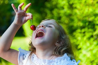 Die Kirschen sind reif: Wo Vogtländer sie pflücken können - Leckere Kirschen: Auf Streuobstwiesen im oberen Vogtland können sie selbst gepflückt werden.