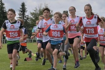 Die Kleinsten starten zuerst - 150 Teilnehmer gingen im Vorjahr (Foto) beim Hammerbrücker Berglandlauf an den Start.