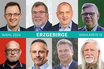 Die Landtagswahl-Kandidaten in der Region Aue im Check: Das sind ihre Hobbys, Berufe und Ziele - Die Kandidaten für die Landtagswahl, oben von links: Eric Dietrich (CDU), Peter Bachmann (AfD), Rico Gebhardt (Die Linke), Uwe Kaettniß (Bündnis 90/Die Grünen); unten von links: Sören Wittig (SPD), Steve Peter (FDP), Danny Weber (Freie Wähler) und Wolfram Christ (BSW).