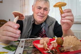 Die Pilzsaison schlägt Purzelbäume - Pilzberater Joachim Melzer aus Niederlauterstein hält einen Wiesenchampignon (l.) und einen Gold-Lärchenröhrling (r.) in seinen Händen. 