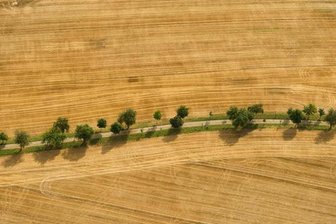Die Preise für Ackerland in Sachsen werden weiter steigen -