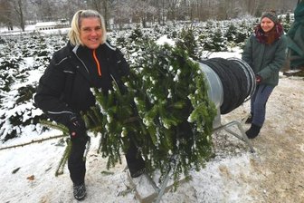 Die Renner unter den Christbäumen - Andrea Oswald (links) und Jenny Beck hatten am Samstag alle Hände voll zu tun. Besonders am Vormittag gab es auf der Weihnachtsbaumplantage in Großrückerswalde großen Andrang. 