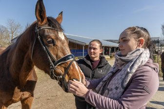 Die S-Klasse unterm Sattel: Wie diese Schwestern aus dem Vogtland ihren Traum leben - Die Zwillingsschwestern Vanessa (hinten) und Annika Ebert in Sorga - hier mit dem Sportpferd Zaneta von Cornet’s Edition vom Reiterhof Türk Oelsnitz.