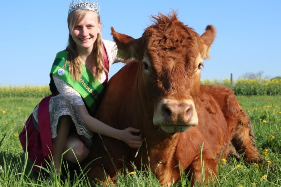 Die Sächsische Milchkönigin kommt aus dem Vogtland - Sandra Hartenstein aus Helmsgrün mit einem Limousin-Rind aus der Herde der Eltern. 