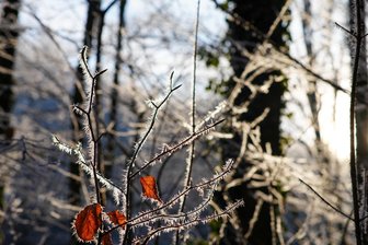 Die schönsten Winterbilder aus Mittelsachsen: Väterchen Frost mit märchenhaftem Zauber - 