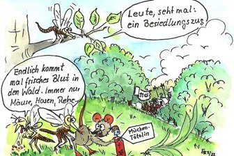 Die spinnen, die Spinnen -