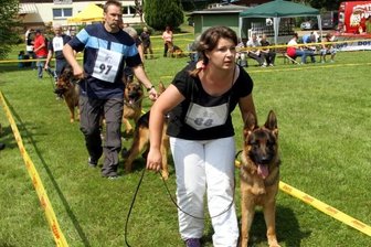 Die Suche nach dem schönsten Hund - Irina Vibornova aus St. Petersburg führte den Rüden Endrefalva Erapschen in Rochlitz durch den Ring.