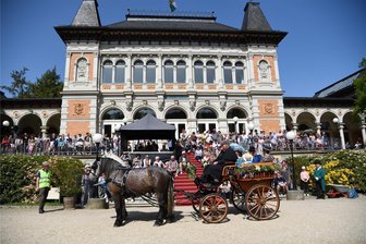 Die Tipps für das Pfingst-Wochenende im Vogtland - Die Kutschenpräsentation vor dem Königlichen Kurhaus ist ein Höhepunkt des 19. Pferdefestes Equipage am Pfingstsonntag in Bad Elster. Mit 31 Gespannen aus Sachsen. Thüringen, Bayern und Böhmen gibt es nach den Worten von Stephan Seitz, Marketingdirektor der Chursächsischen Philharmonie, dieses Jahr eine Rekordbeteiligung.