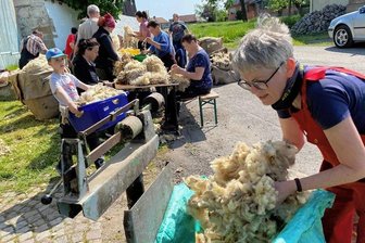 Die vergessene Schafwollspinnerei im Vogtland: Helfer aus ganz Sachsen packen an - Bärbel Scheithauer aus Zwickau an der Woll-Waage. Auch Hannes packt fleißig mit an.