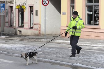 Die verzweifelte Suche nach einem Zwölfjährigen - Mit einem Spürhund wurde am Sonntag im Bereich der Georg-Weerth-Oberschule, Uhlandstraße und Fürstenstraße gesucht.
