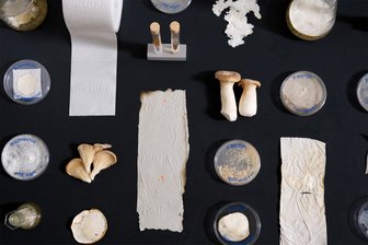 Das von Sophia Reißenweber ersonnene Toilettenpapier sieht zwar auch nicht anders aus als das handelsübliche, bringt aber segensreichen Zusatznutzen für die Umwelt mit sich.  