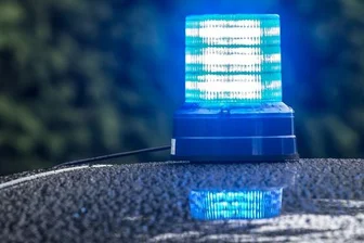 Diebe klauen Bronzebüsten von Grabstätte -