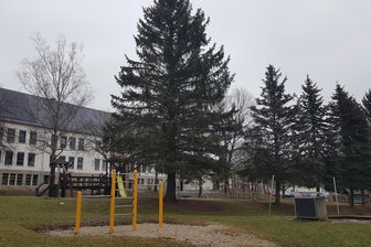 Diese Bäume müssen für den Turnhallenbau in Bad Elster weichen - Blick auf das Außengelände der Grundschule von Bad Elster. Hier stehen vor dem Turnhallenbau Baumfällungen an.