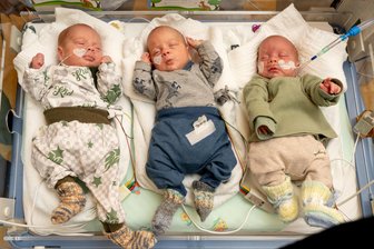 Diese Drei aus Sachsen sind so selten wie ein Sechser im Lotto - Hardy, Levi und Bernie (v.l.n.r.) sind aus nur einer befruchteten Eizelle entstanden, die sich zunächst einmal und dann noch einmal geteilt hat. Das ist extrem selten.