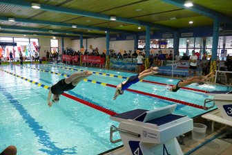 Dieser Wettkampf lockt 500 Schwimmer aus drei Nationen ins Erzgebirge - Auch im Vorjahr sind reichlich 500 Schwimmer aus knapp 40 Vereinen Deutschlands, Tschechiens und Polens an den Start gegangen.