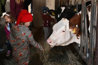 Digitales Einkaufen und echtes Erlebnis: Herbstfest auf Hainichs Hof in Langenleuba-Oberhain - Beim Herbstfest können sich Besucher ein Bild von der Landwirtschaft machen.